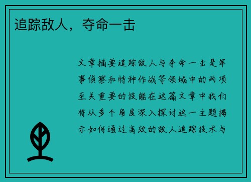 追踪敌人，夺命一击　